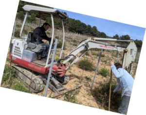 Domaine de la Cendrillon - Vins bio des Corbières - Désherbage d’un plantier de Grenache