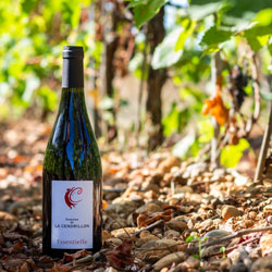 Domaine de la Cendrillon - Vins bio des Corbières - Cuvée Essentielle