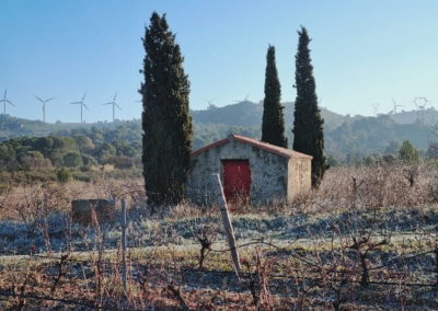 Domaine de la Cendrillon - Vins bio des Corbières - l'Auberge