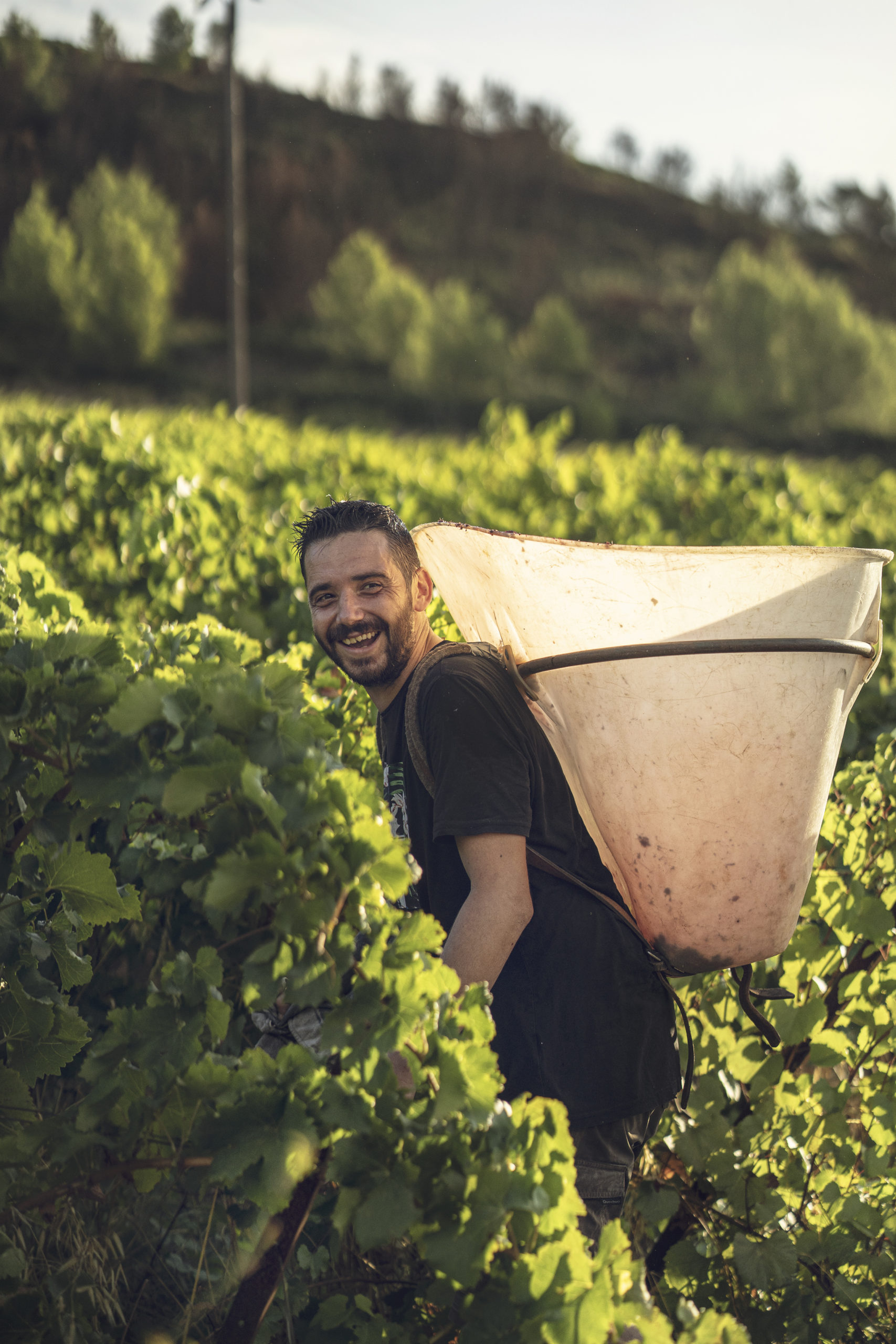 Anthony, porteur pendant les vendanges 2022